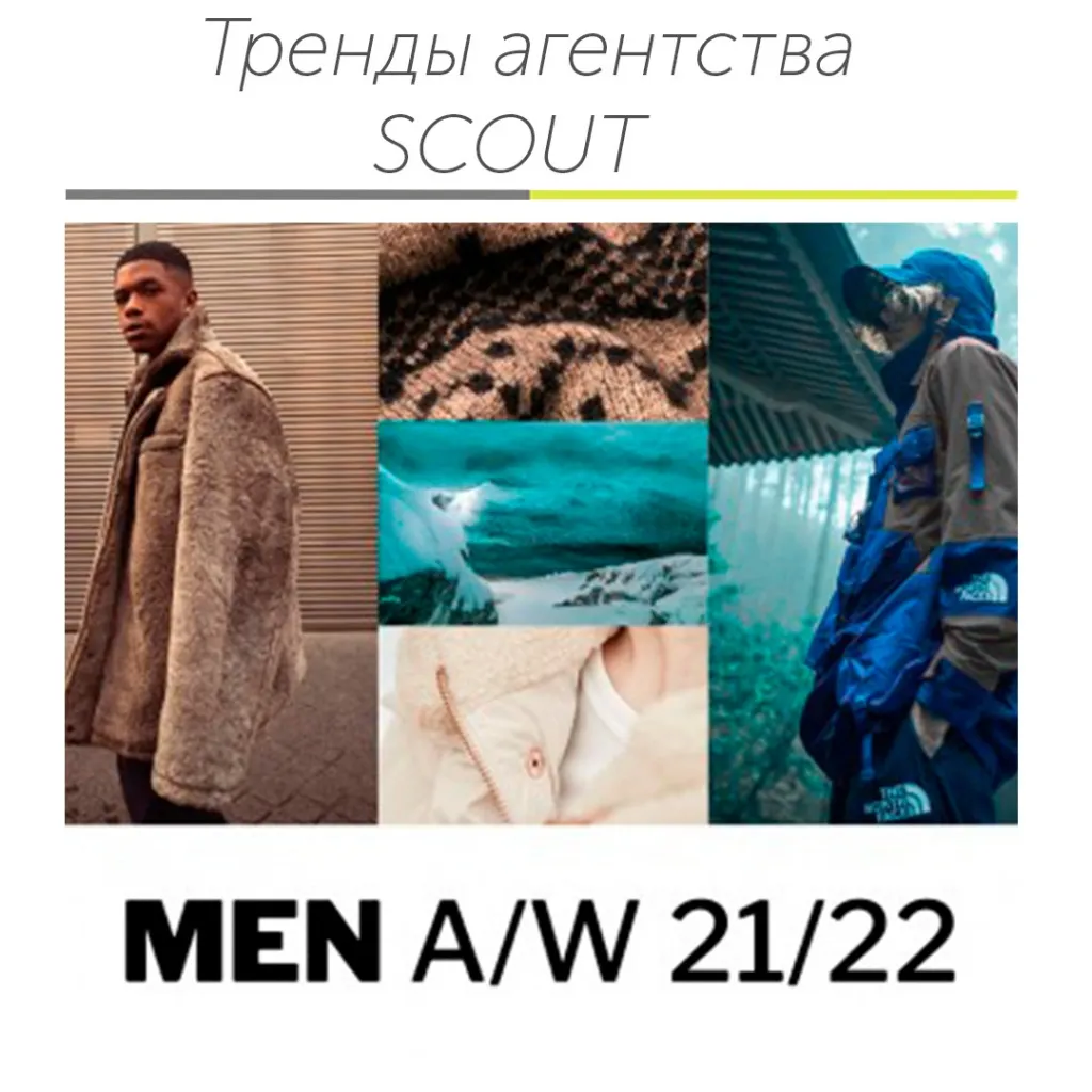 Скаут.jpg